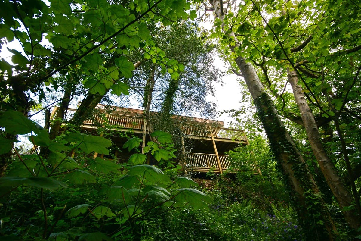 sunridge treehouse exterior from the woods.
